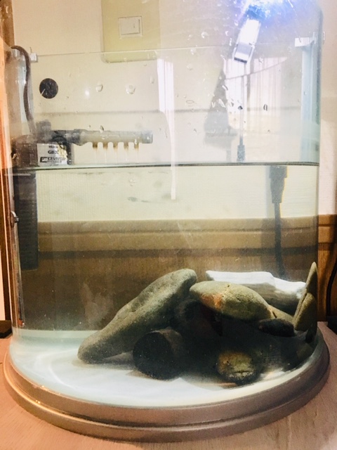 ドンコハウス倒壊