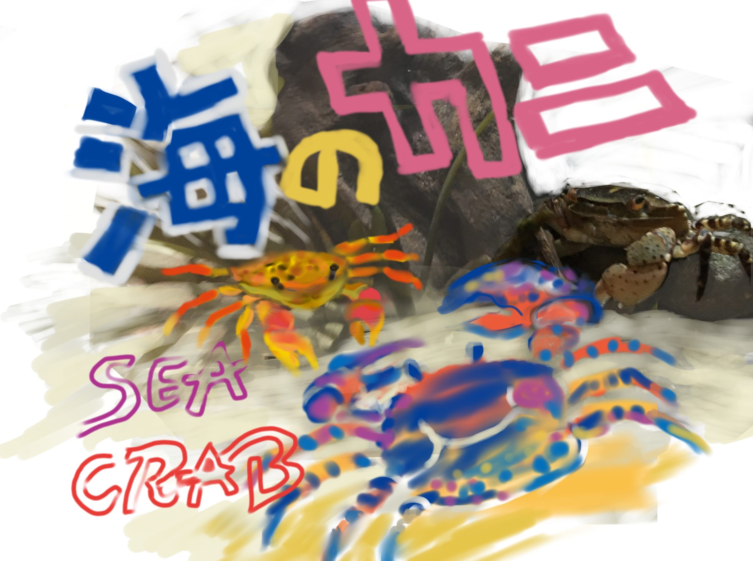 海カニサムネ