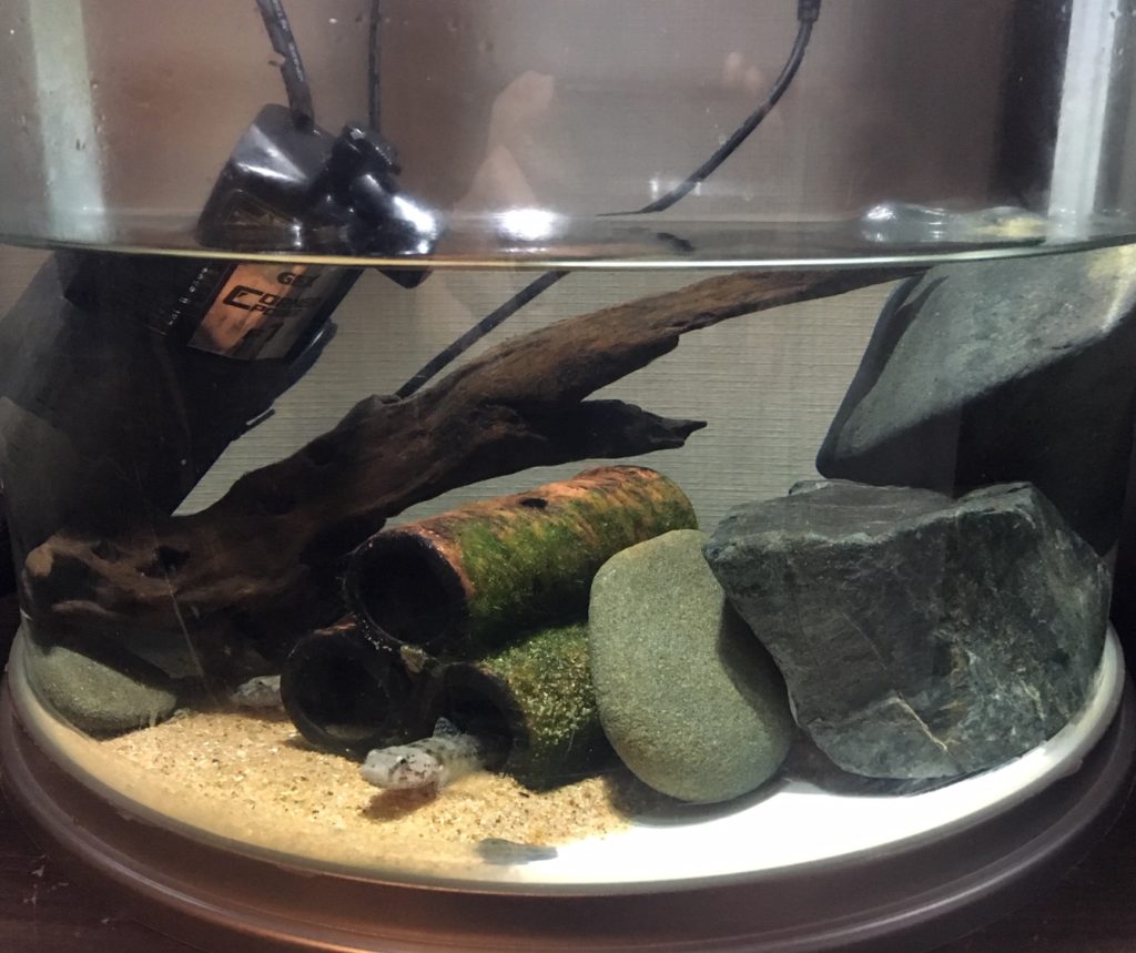 小さな土管水槽